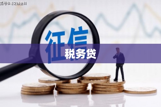 桦川税务贷
