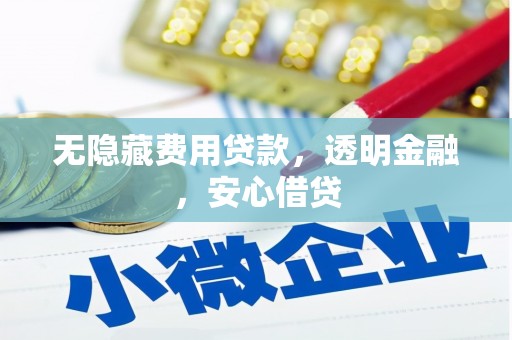 桦川无隐藏费用贷款，透明金融，安心借贷