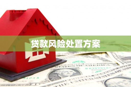 桦川贷款风险处置方案