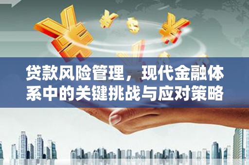 桦川贷款风险管理，现代金融体系中的关键挑战与应对策略