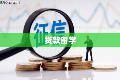 桦川贷款留学