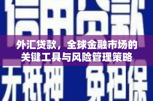 桦川外汇贷款，全球金融市场的关键工具与风险管理策略