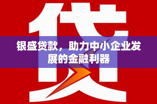 桦川银盛贷款，助力中小企业发展的金融利器