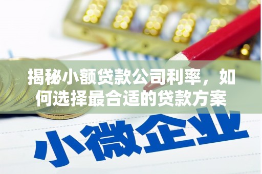 桦川揭秘小额贷款公司利率，如何选择最合适的贷款方案