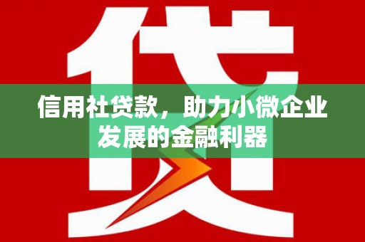 桦川信用社贷款，助力小微企业发展的金融利器