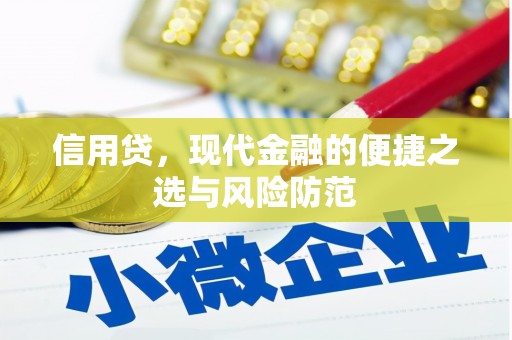 桦川信用贷，现代金融的便捷之选与风险防范