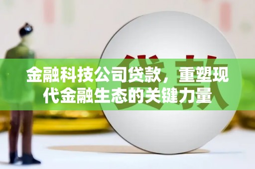 桦川金融科技公司贷款，重塑现代金融生态的关键力量