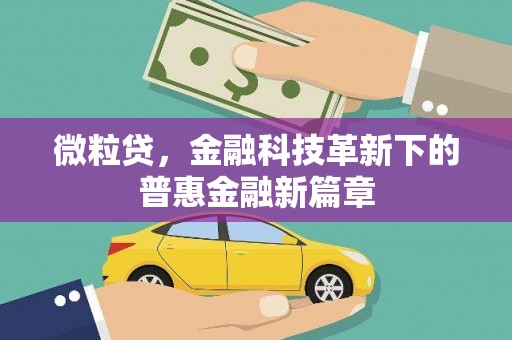 桦川微粒贷，金融科技革新下的普惠金融新篇章
