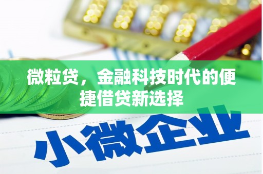 桦川微粒贷，金融科技时代的便捷借贷新选择