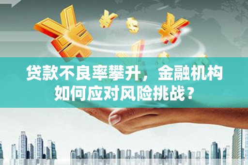 桦川贷款不良率攀升，金融机构如何应对风险挑战？