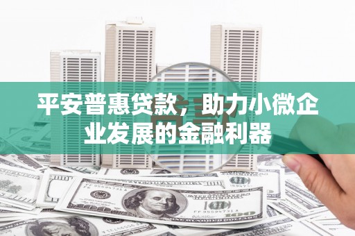 桦川平安普惠贷款，助力小微企业发展的金融利器