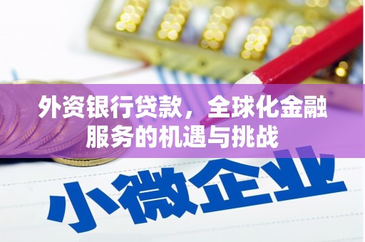 桦川外资银行贷款，全球化金融服务的机遇与挑战