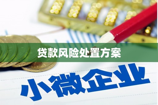 桦川贷款风险处置方案