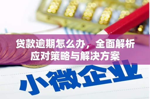 桦川贷款逾期怎么办，全面解析应对策略与解决方案
