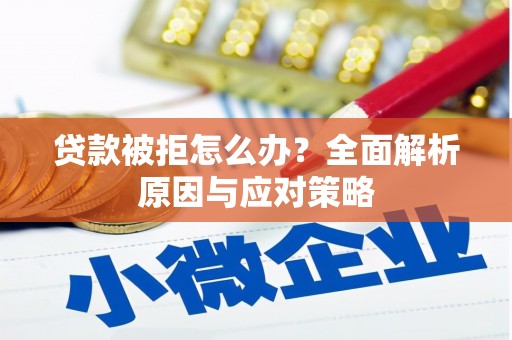 桦川贷款被拒怎么办？全面解析原因与应对策略